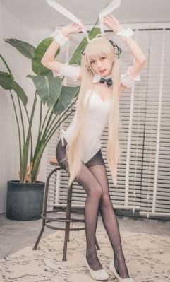 警犬与警花第二季免费版